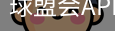 球盟会